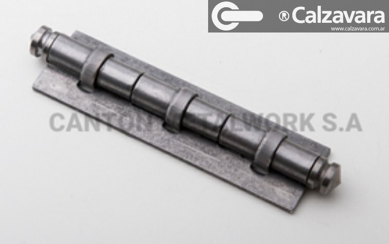 BISAGRA T/MUNIC A/C 124x37CANTON 259